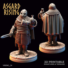 Viking Huscarl ver. D