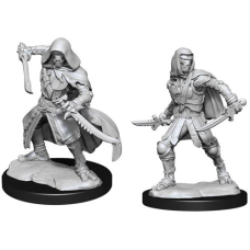 Warforged Rogue - D&D Nolzur's Marvelous Miniatures